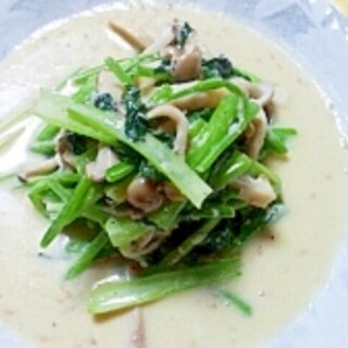 塩麹と豆乳で青菜とキノコのクリームソース